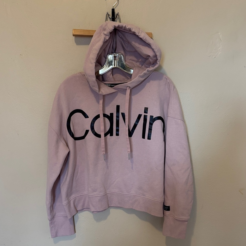 Calvin Klein Light Pink Logo Hooded Sweatshirt